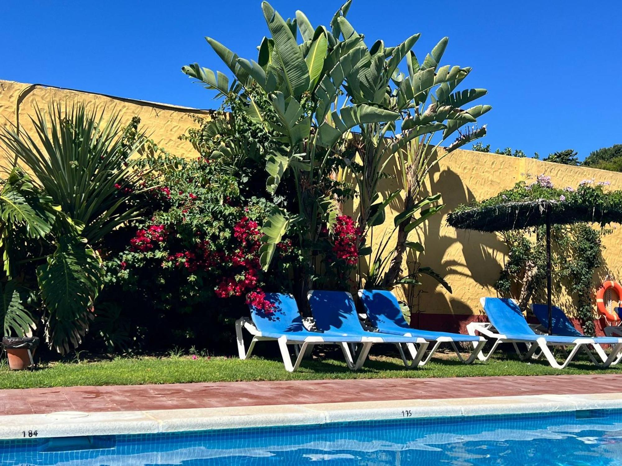 Hotel Pinomar Ел Пуерто де Санта Мария Екстериор снимка